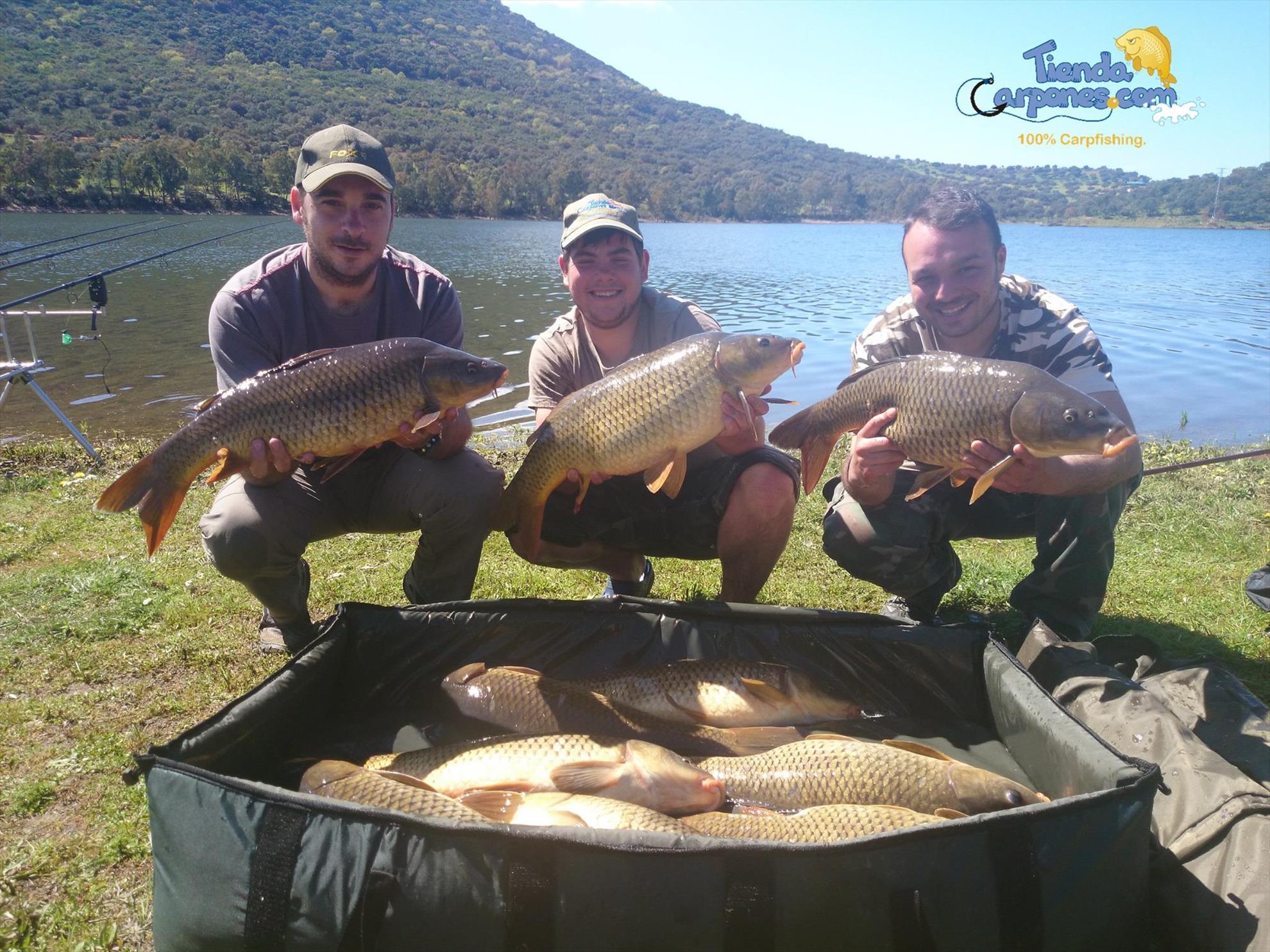 SENZOR PLANET IN SPANIA 2014 - Noile solubile Planet1016 fac ravagii in Spania